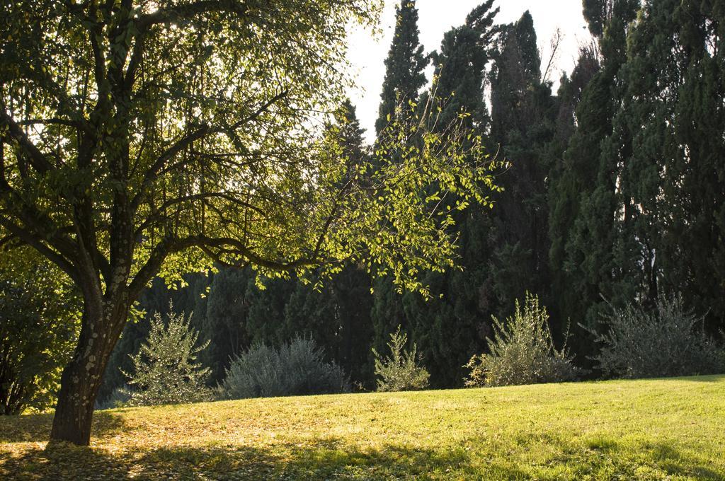 Villa Montaperti Monteaperti  Kamer foto